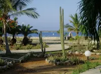 Well-maintained Sand Dollar Oceanfront Condo F-9 with new kitchen - โฮมสเตย์