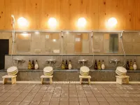 Miyazaki Lions Hotel - Hot Springs