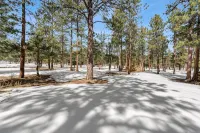 La Hacienda BV: Family-friendly cabin nestled on 2 acres in the woods - 4-Star