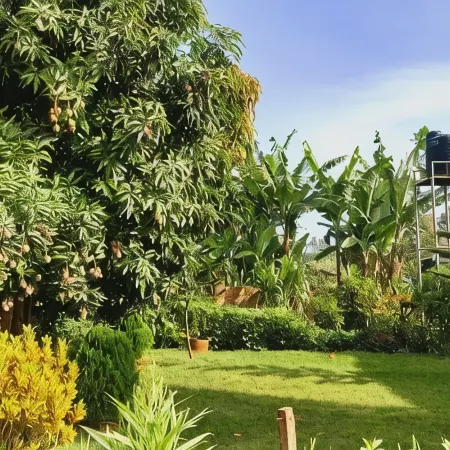 Lux Suites Hotfoot Homestays Isiolo