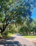 Charming 2-bedroom cottage with full kitchen and WiFi in Pensacola. Sleeps 4. - Wi-Fi