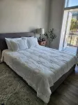 Apartment in the heart  of Historic Ocala Downtown - Lejligheder