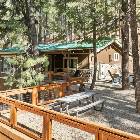MTNSIDE Cabin with VIEWS by LYNX LAKE 20 min to TOWN