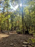 Tiny House~Creeks & River Nearby - Alphydda