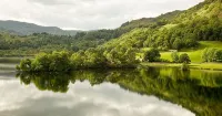 Newly refurbished 2 bedroom, 2 bathroom apartment right in the heart of Grasmere - Homestays