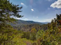 Great Mountain Views, Family Friendly, Hot tub, 5 miles to Downtown Blue Ridge - Feriehus
