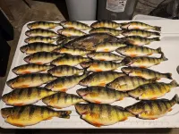 Indoor Fish Cleaning - Darts - Poker - Newly Remodeled - 4-Sterne