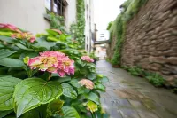 San Michele Al Borgo Hotels in Rigutino