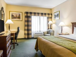 Comfort Inn East Windsor - Springfield