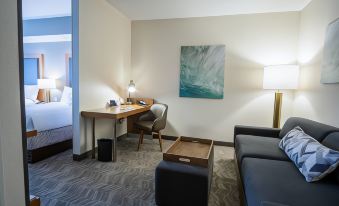 SpringHill Suites Winston-Salem Hanes Mall