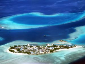 Tropic Tree Maldives