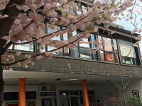 Max Hostel