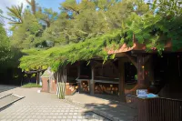 Rezo's Ranch Hotels in 