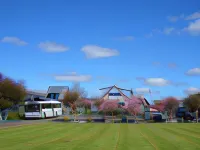 Adventure Lodge and Motels and Tongariro Crossing Track Transport Hotels in Whakapapa Village