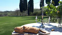 Podere Pievina Delle Corti - Dimora di Campagna Hotels in Monte San Savino