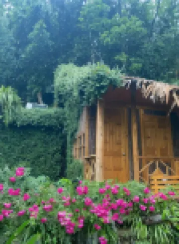 Hoa Chanh Bungalow Hotels near Muong Hoa valley