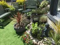 The Glenroy Guest House