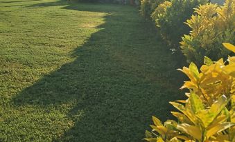 Hao Homestay