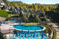 World Dreams Sapanca - piscine