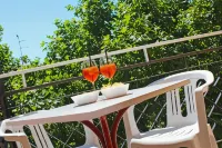 Hotel Silvia Hotels in Misano Adriatico