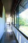 Pine Beach House