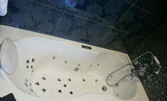 Hotel le Meurice