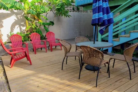 Caribbean Vibes House Отели рядом с достопримечательностью «Sea Turtle, Inc.»