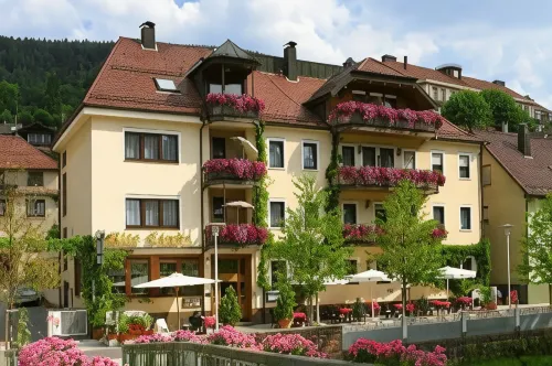 Hotel Restaurant Alte Linde 巴特黑雷納爾布住宿飯店