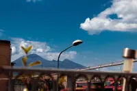 Spacious and comfortable apartment in Pompeii, pets allowed