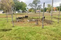 The White House…a lovely family friendly 4-bedroom house with WiFi in Kalkaska