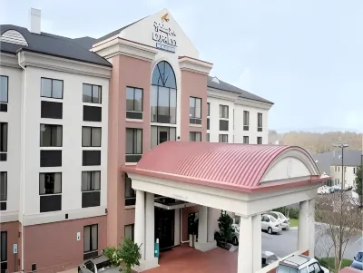 Holiday Inn Express & Suites GREENVILLE-DOWNTOWN by IHG Hotel di 