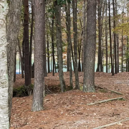Welcome to Lake Therapy a tranquil haven on Lake Hartwell with private dock.
