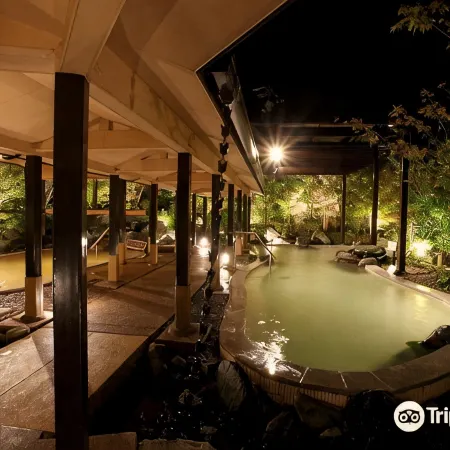 Hotel Wellseason Hamanako