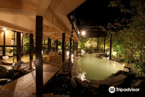 濱名湖維森飯店 - 溫泉