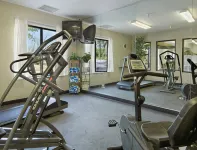 Comfort Inn & Suites North Aurora - Naperville - Gym