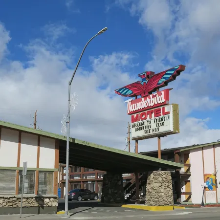 Thunderbird Motel Отели в г. Элко