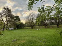 Spacious Hudson Valley retreat. Relax by the fire and enjoy the wildlife. Hotels in Marbletown