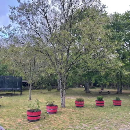 Chalet 10min from the ocean on large wooded grounds! Ideal for families!