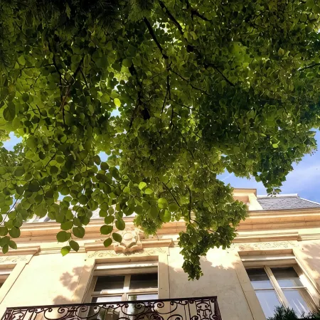 Villa Lepois & Spa