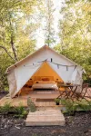 Beautiful Tent at Camp Northern Lights! - Homestays