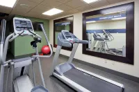 Hampton Inn by Hilton Duluth Canal Park - Phòng tập thể hình