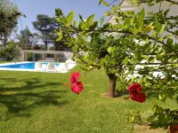 Villa Flavia, Mediterranean charm. Apartment, private pool at100 mt sea - Villas