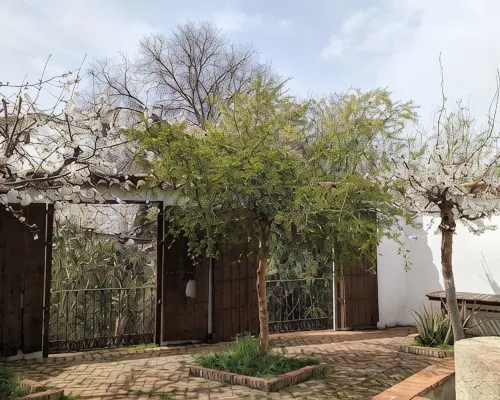 Tranquilidad Rural. Molino Viejo de Salar Hotels in Comarca de Loja