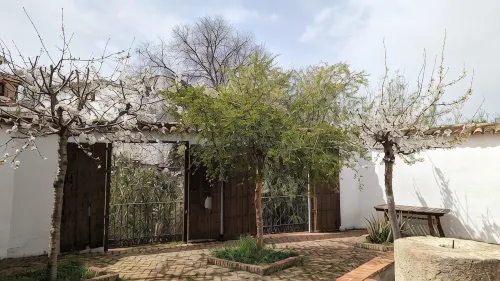 Tranquilidad Rural. Molino Viejo de Salar - WiFi