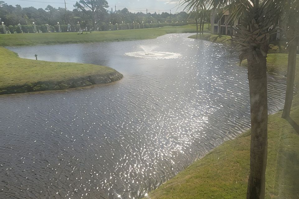 Photo 5 of 6