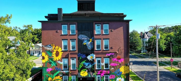 Buckeye Sports ~ Mins to CP & SF ~ King/WD/Pet OK/Kids Friendly/Largest Mural Hotels in Sandusky