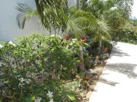 Modern Oasis On Tropical - 3つ星