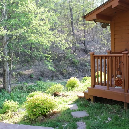 Scenic cabin near Hungry Mother, Mount Rogers, and Grayson Highlands Parks