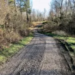 Secluded 2 bedroom cabin near Lake Jackson.