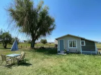 Country Cottage with woodfired sauna - 民泊